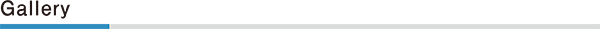ギャラリー