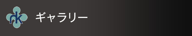 ギャラリー
